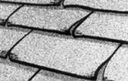 Clawing Roofing Shingles