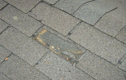 Wind Damage Roofing Shingles